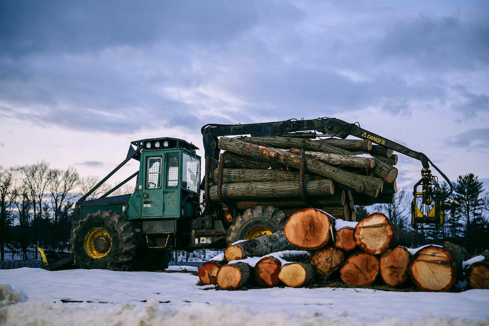 Terrains viabilisés constructibles : un levier pour le développement urbain durable